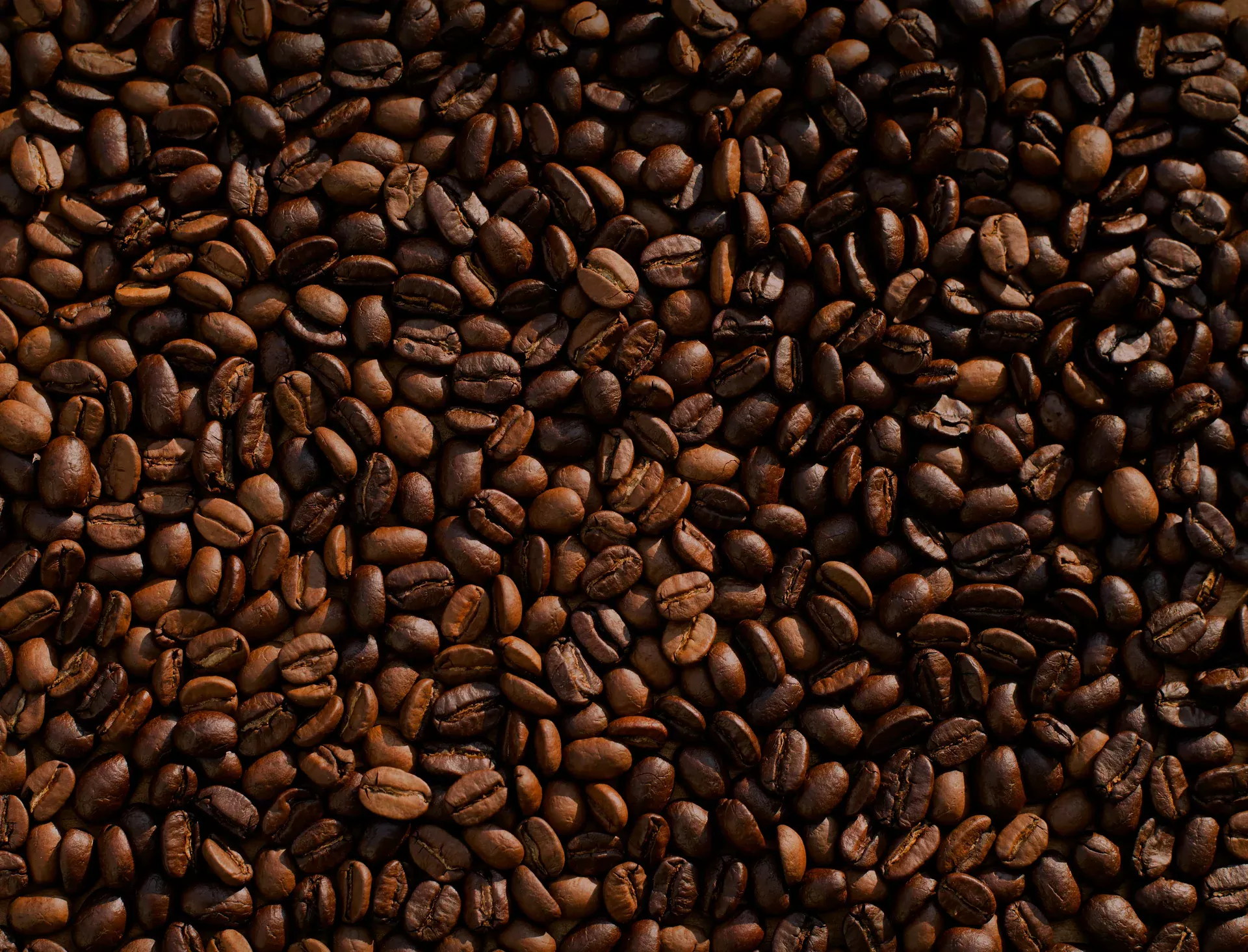 V12 Coffee TO GO